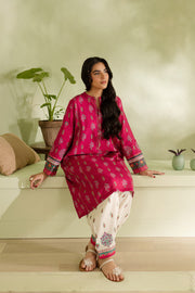 Ayna 2Pc - Printed Khaddar Dress