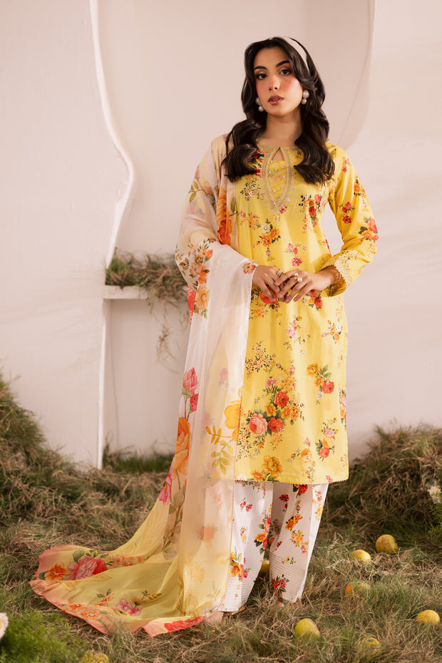 Lumia 3Pc - Printed Lawn Dress