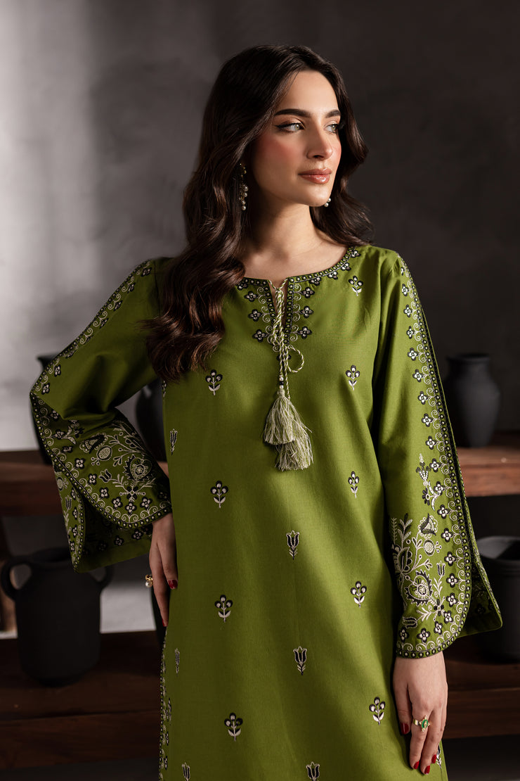 Green Gem 2Pc - Embroidered Khaddar Dress