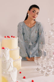 Sky Blush 2Pc - Embroidered Casual Pret