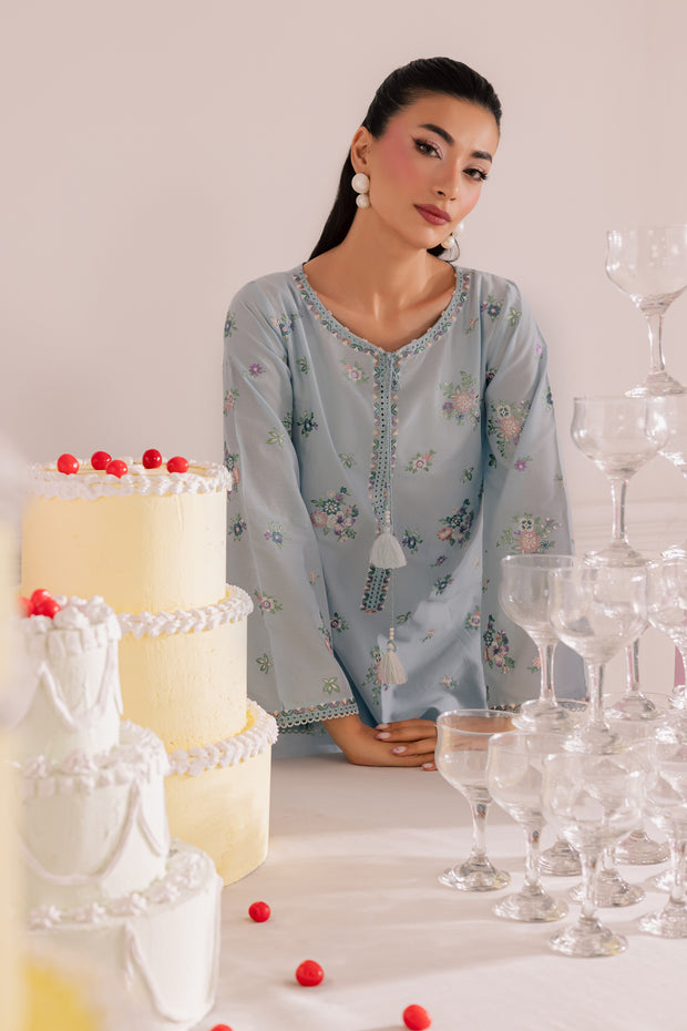 Sky Blush 2Pc - Embroidered Casual Pret