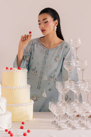 Sky Blush 2Pc - Embroidered Casual Pret