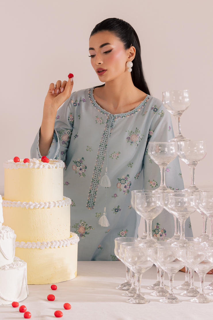 Sky Blush 2Pc - Embroidered Casual Pret