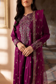 Astro 3Pc - Embroidered Karandi Dress