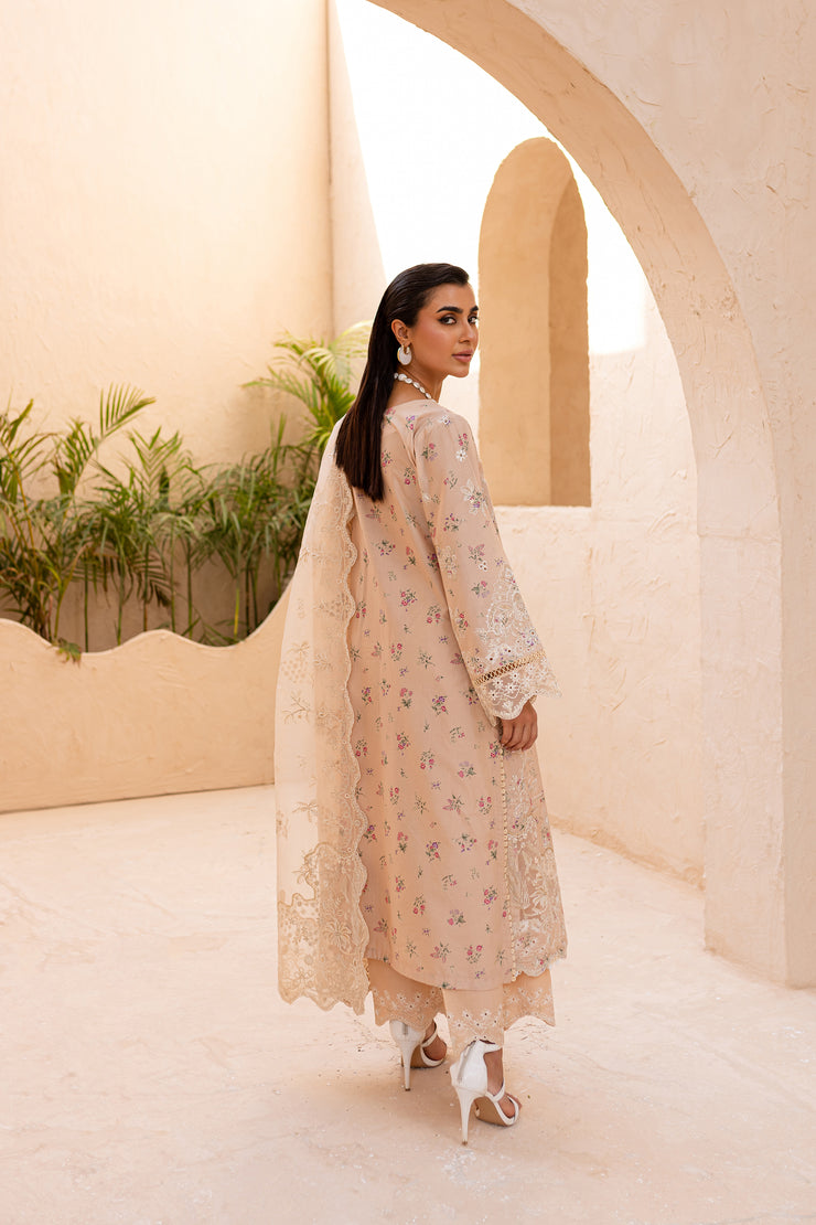 Ammar Peach 3Pc - Embroidered Luxe PRET