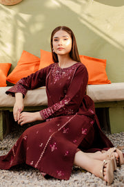 Starlet 2Pc - Embroidered Khaddar Dress