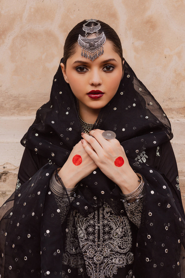 Embroidered organza dupatta paired with black raw silk outfit for a graceful evening look. Festive luxury Pakistani South Asian.
