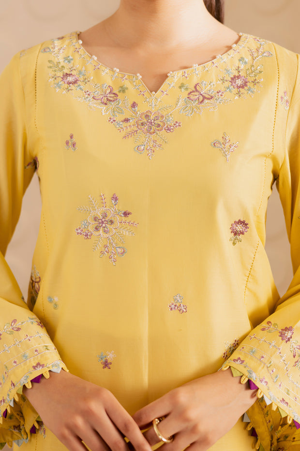 Daisy Dream 2Pc - Embroidered Lawn Pret