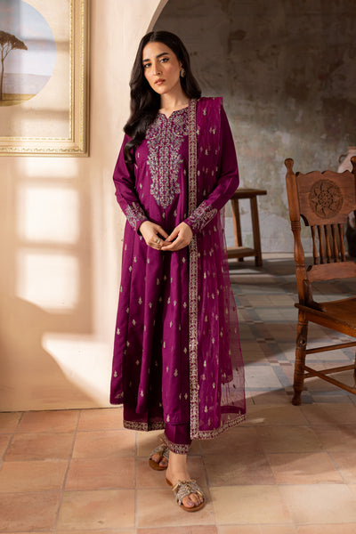 Astro 3Pc - Embroidered Karandi Dress