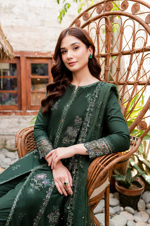 Maesha 3Pc - Embroidered Karandi Dress
