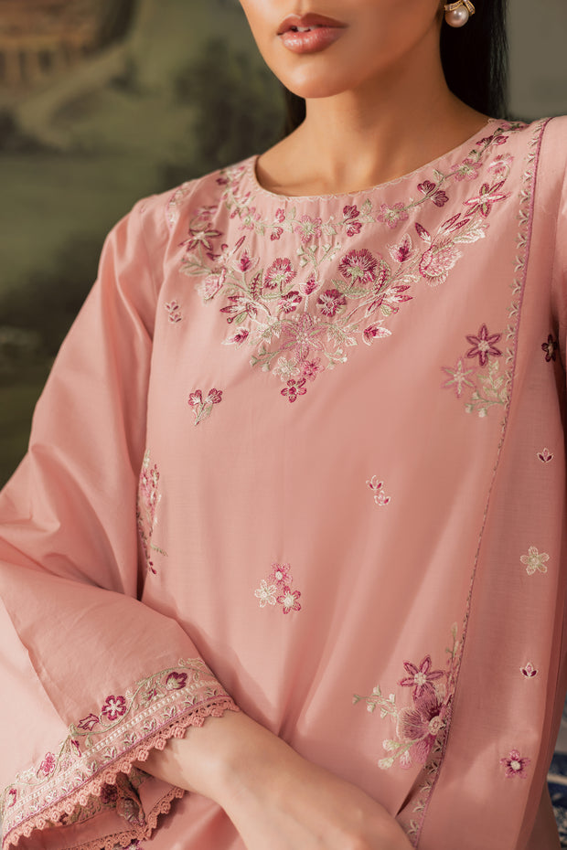 Autumn 2Pc - Embroidered Lawn Pret