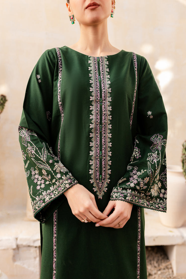 Derain 2Pc - Embroidered Khaddar Dress