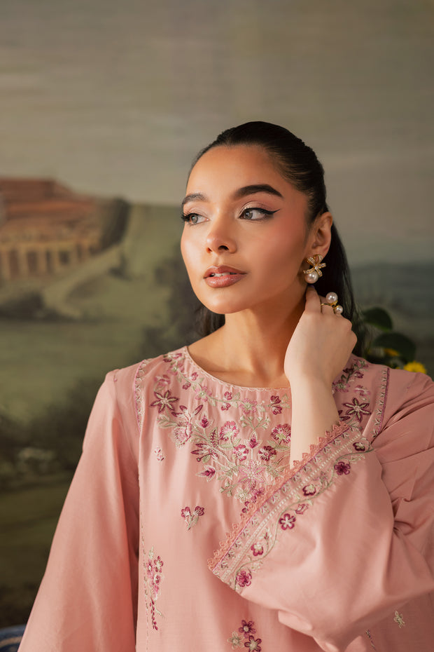 Autumn 2Pc - Embroidered Lawn Pret