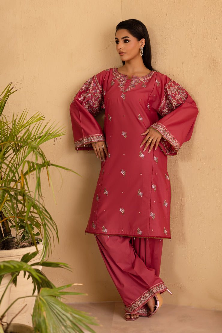Blush 2Pc - Embroidered Solid Dress