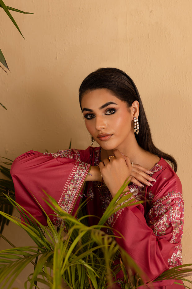 Blush 2Pc - Embroidered Solid Dress