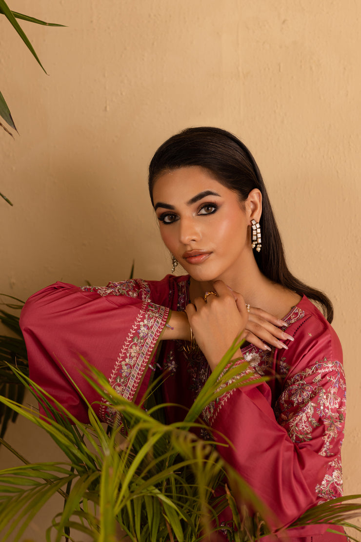 Blush 2Pc - Embroidered Solid Dress