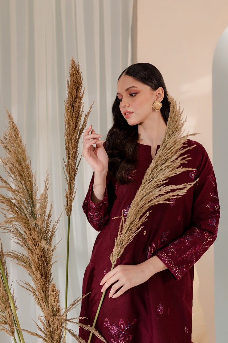 Aimee 2Pc - Embroidered Khaddar Dress