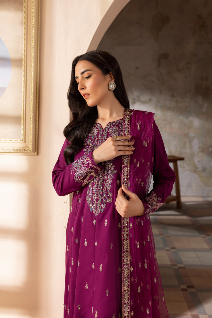 Astro 3Pc - Embroidered Karandi Dress