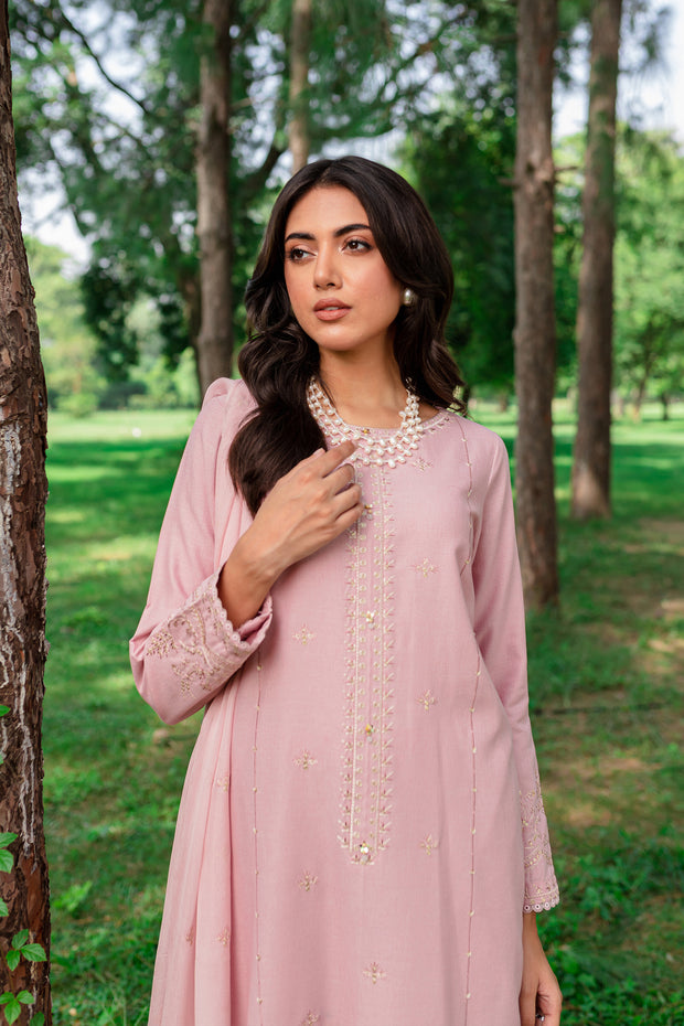 Script 3Pc - Embroidered Karandi Dress