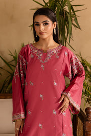 Blush 2Pc - Embroidered Solid Dress