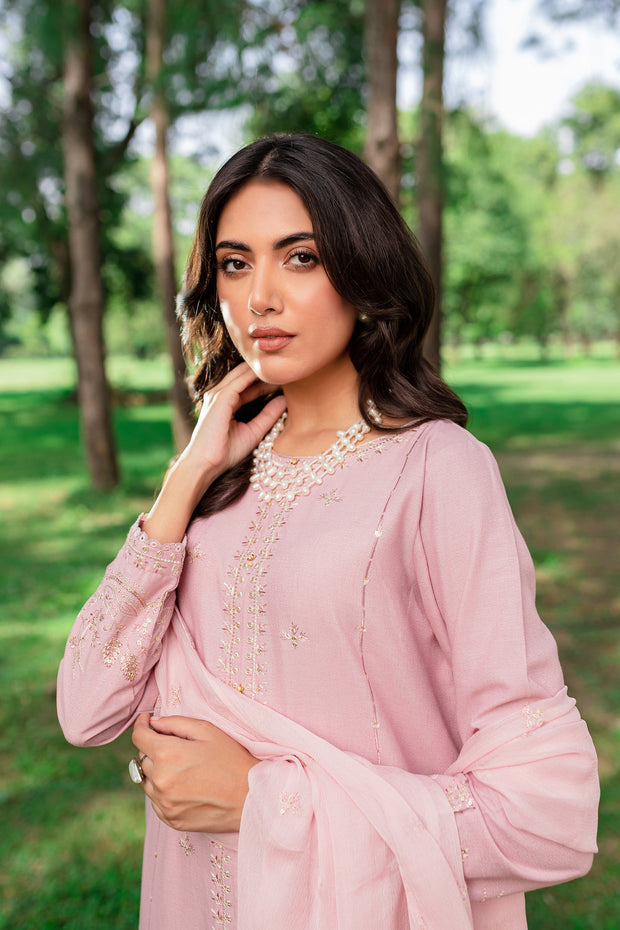 Script 3Pc - Embroidered Karandi Dress