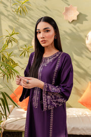 Nobara 2Pc - Embroidered Karandi Dress
