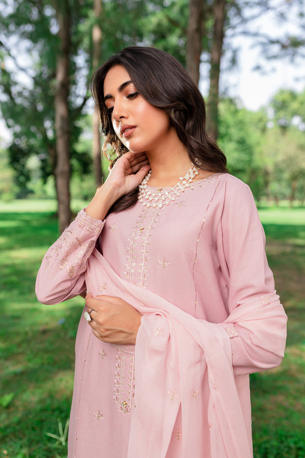Script 3Pc - Embroidered Karandi Dress
