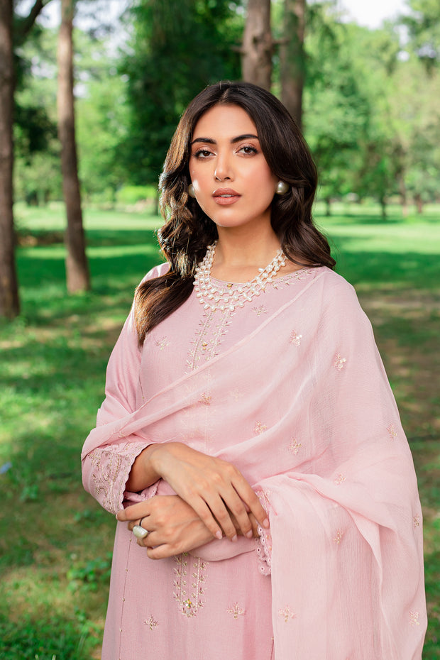 Script 3Pc - Embroidered Karandi Dress