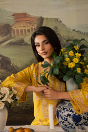 Cheez 2Pc - Embroidered Lawn Pret
