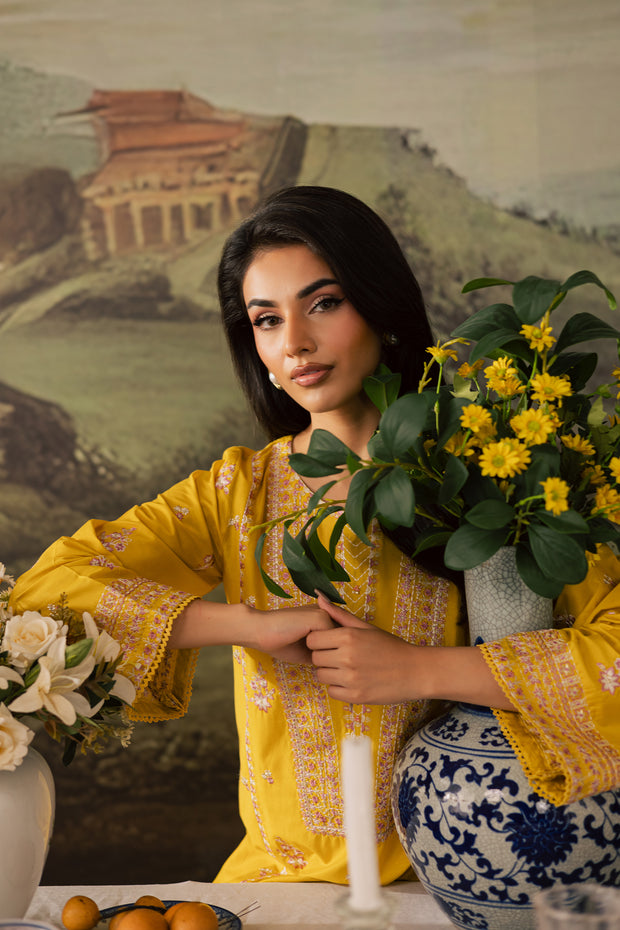 Cheez 2Pc - Embroidered Lawn Pret