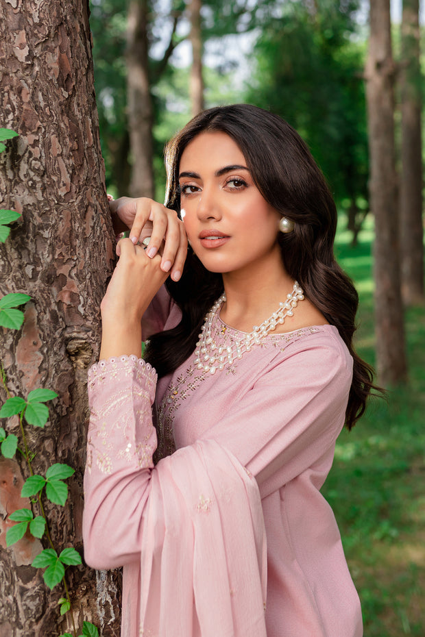 Script 3Pc - Embroidered Karandi Dress