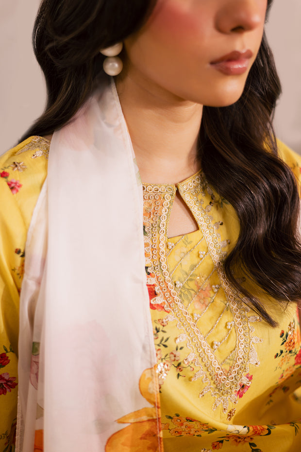 Lumia 3Pc - Printed Lawn Dress