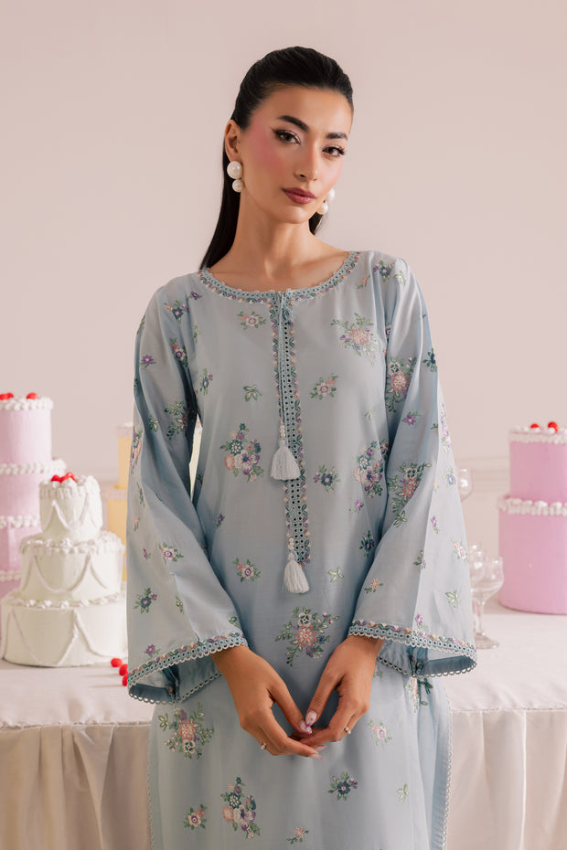 Sky Blush 2Pc - Embroidered Casual Pret