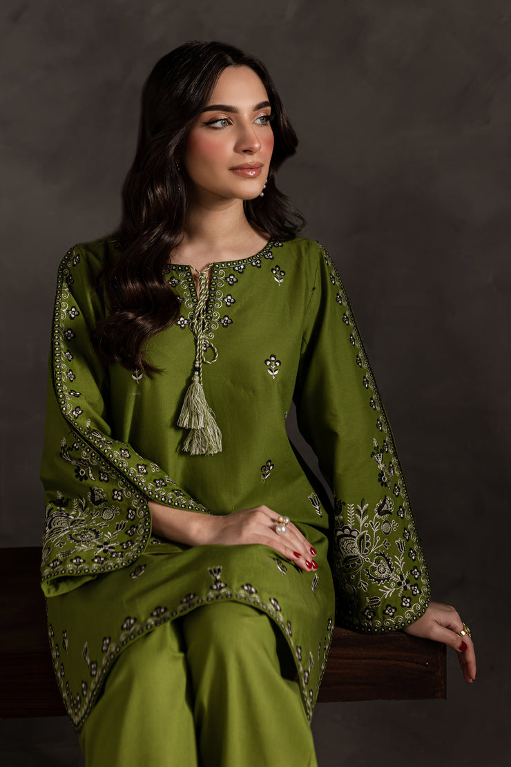 Green Gem 2Pc - Embroidered Khaddar Dress