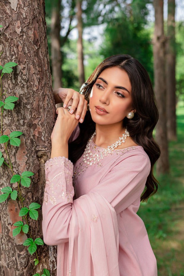 Script 3Pc - Embroidered Karandi Dress
