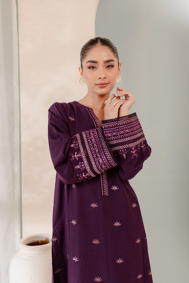 Megumi 2Pc - Embroidered Khaddar Dress