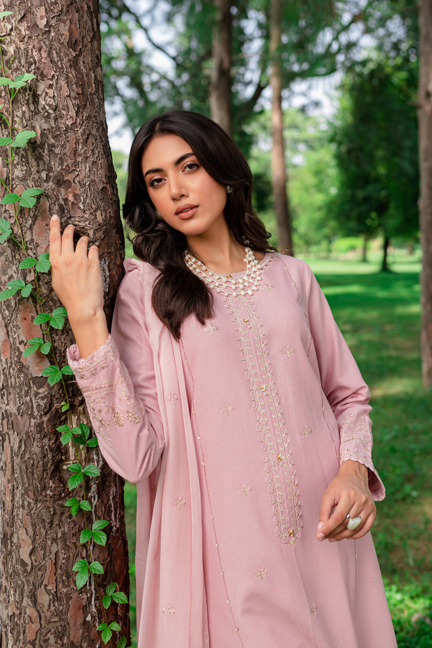 Script 3Pc - Embroidered Karandi Dress