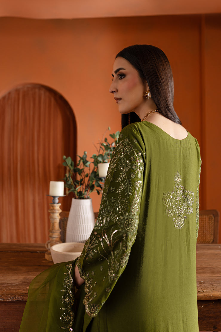 Rosine 3Pc- Embroidered Karandi Dress