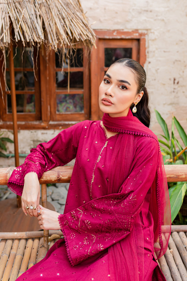 Naira  3Pc - Embroidered Karandi Dress