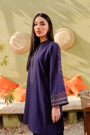 Ash 2Pc - Embroidered Khaddar Dress