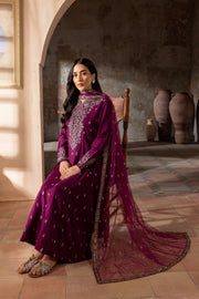 Astro 3Pc - Embroidered Karandi Dress