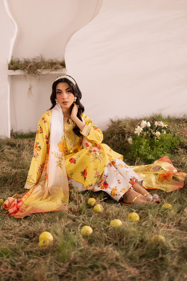 Lumia 3Pc - Printed Lawn Dress