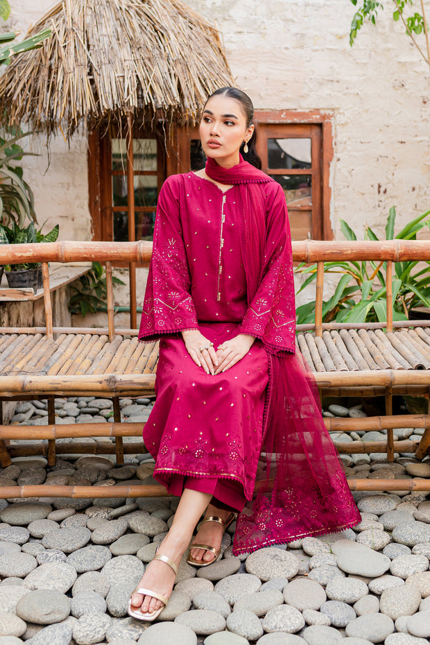 Naira  3Pc - Embroidered Karandi Dress