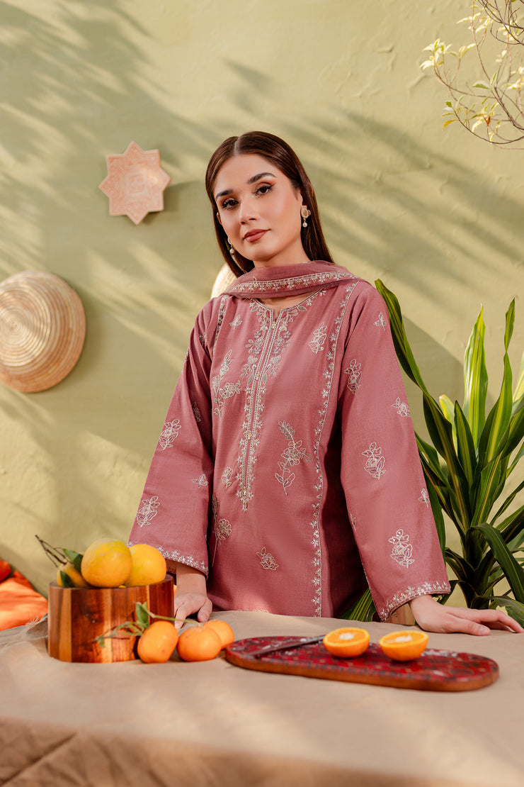 Ayhan 3Pc - Embroidered Karandi Dress