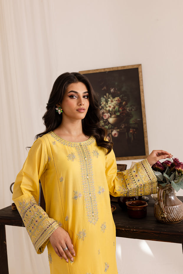 Diyar 2Pc - Embroidered Lawn Dress