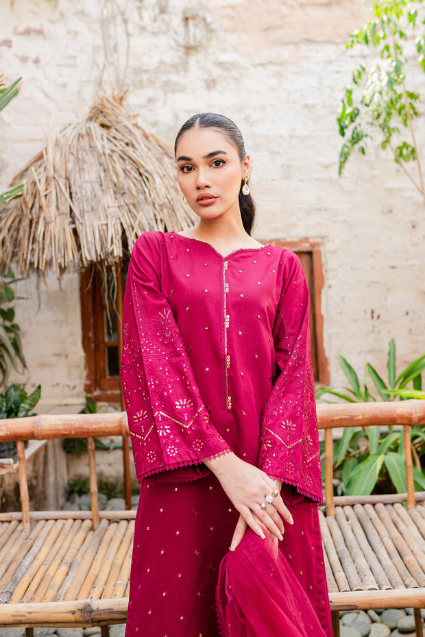 Naira  3Pc - Embroidered Karandi Dress
