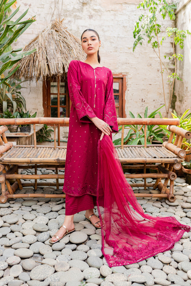Naira  3Pc - Embroidered Karandi Dress