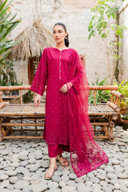 Naira  3Pc - Embroidered Karandi Dress