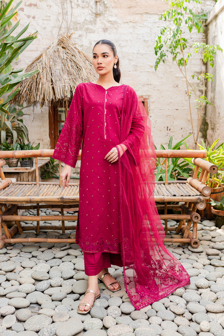 Naira  3Pc - Embroidered Karandi Dress