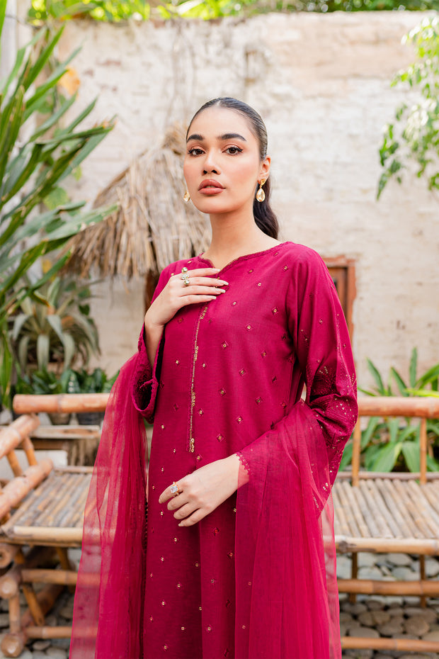Naira  3Pc - Embroidered Karandi Dress